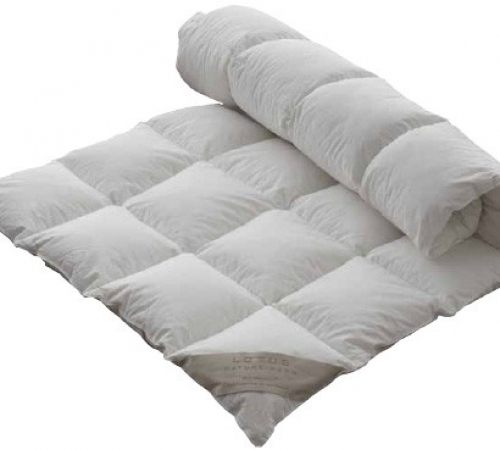 Topper Schramm Nature Down Light 05