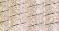 Materasso a molle insacchettate Schramm Emotion Luxe 50