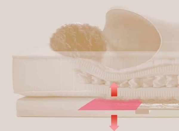 Base articolata elettrica Schramm UM-220 Master M2-SCA