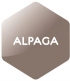 Alpaca